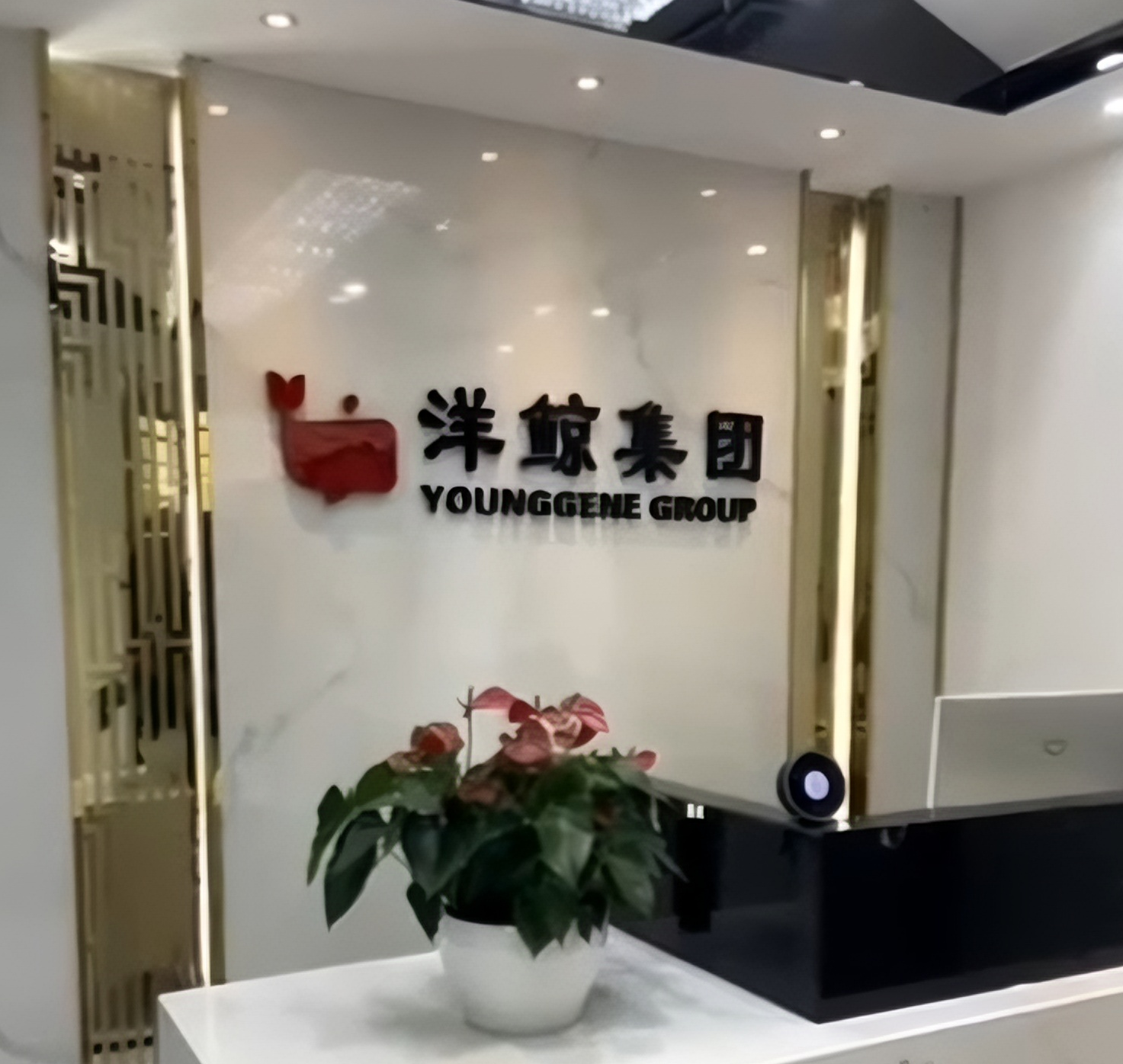 广东洋鲸婚姻服务有限公司